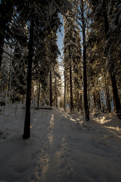 DSC_5591.jpg