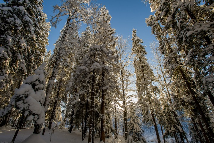 DSC_5594.jpg