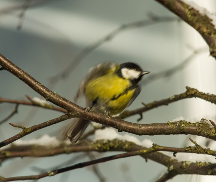 DSC_5466.jpg