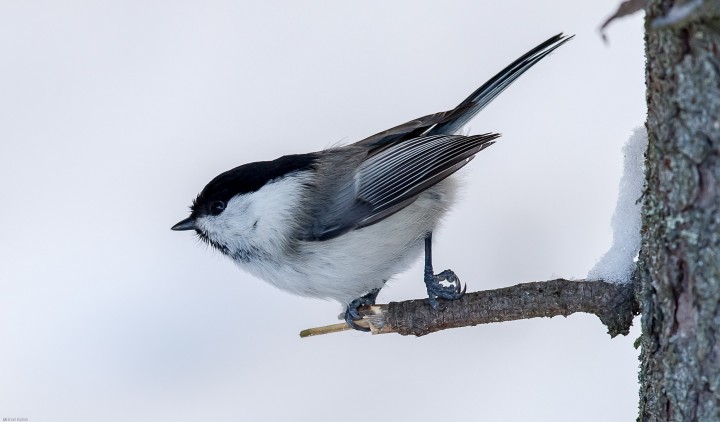 DSC_5812.jpg