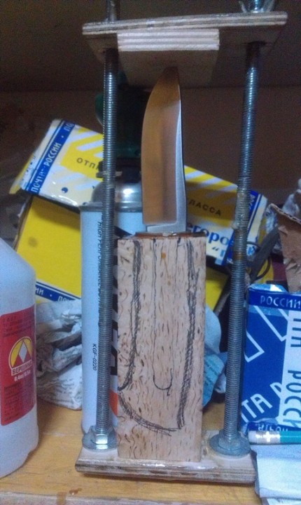 IMAG0206.jpg