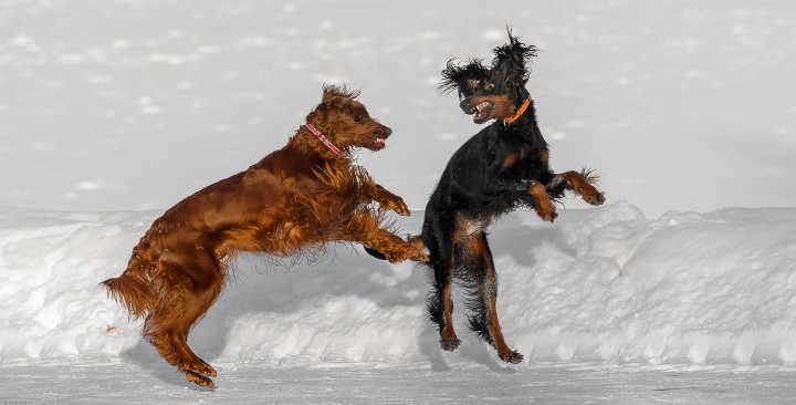 DSC_4887.jpg (705.4 КБ) 3976 просмотров DSC_4887.jpg