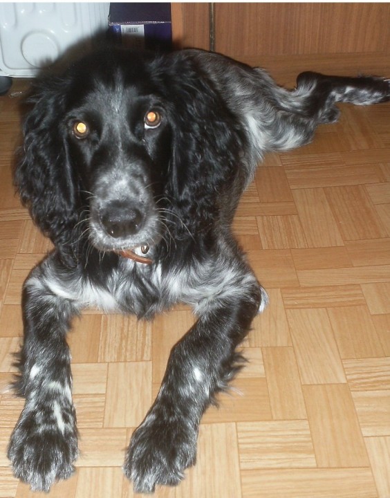 PIC_0014.JPG