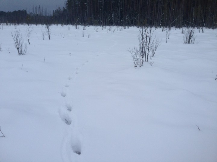 07.jpg