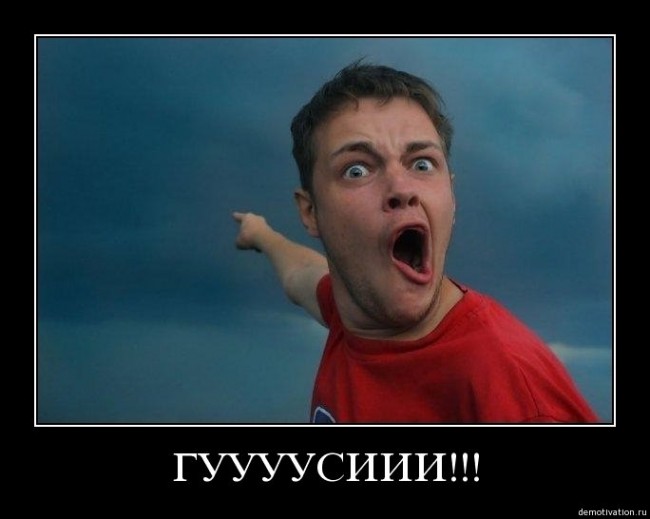 ГУУСИИ!