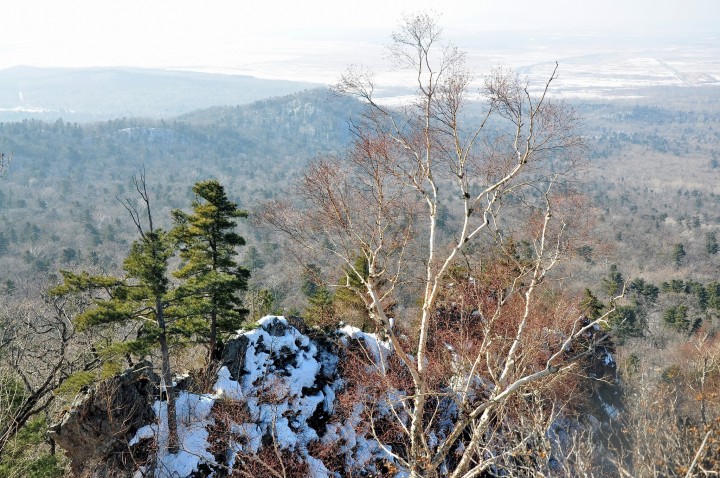 DSC_4277.JPG
