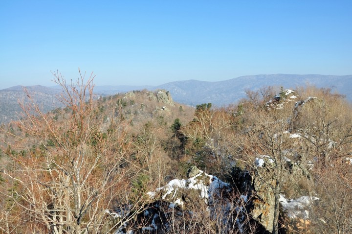 DSC_4239.JPG