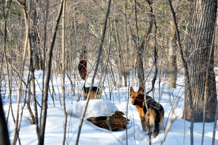 DSC_4419.JPG