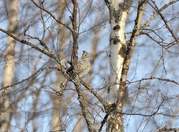 DSC_8380.jpg