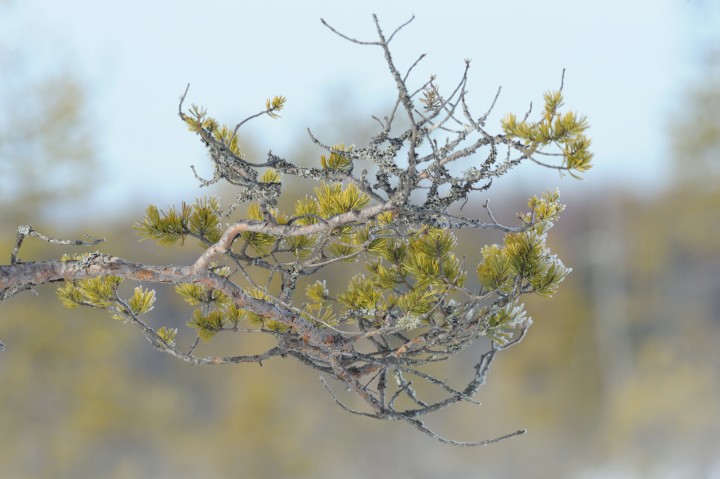 DSC_8416.jpg