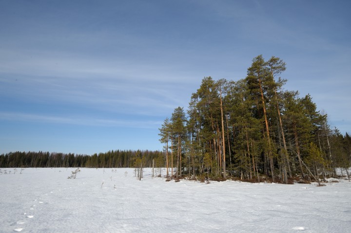 DSC_8443.jpg