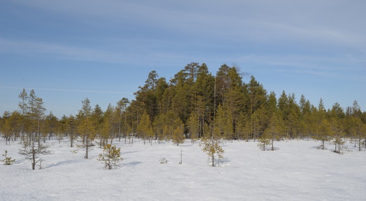 DSC_848.jpg