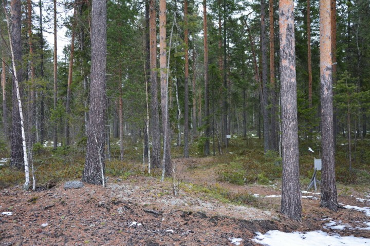 DSC_0031.jpg