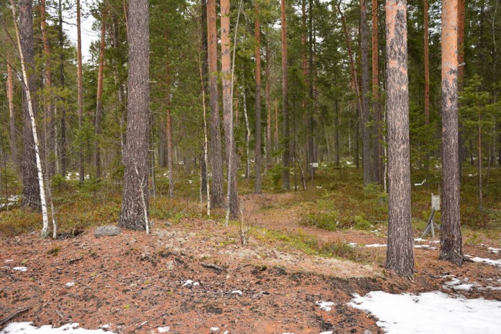 DSC_0032.jpg