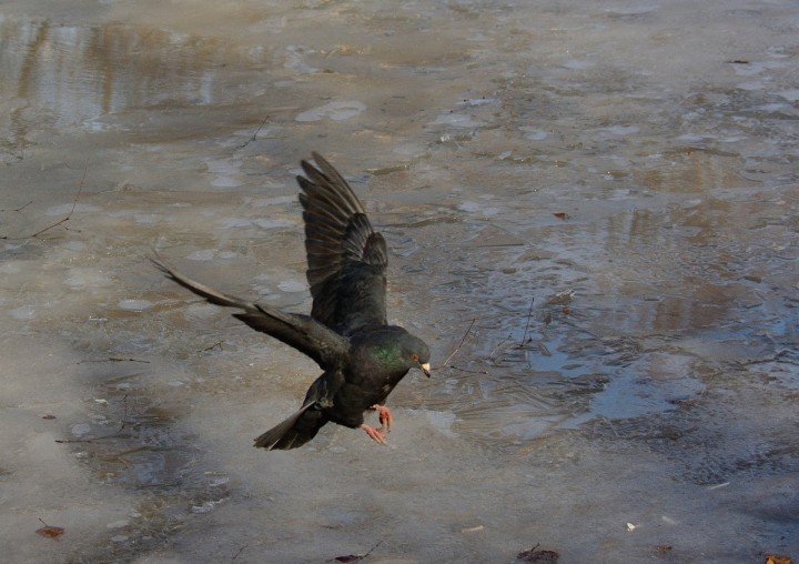 DSC_0482.JPG