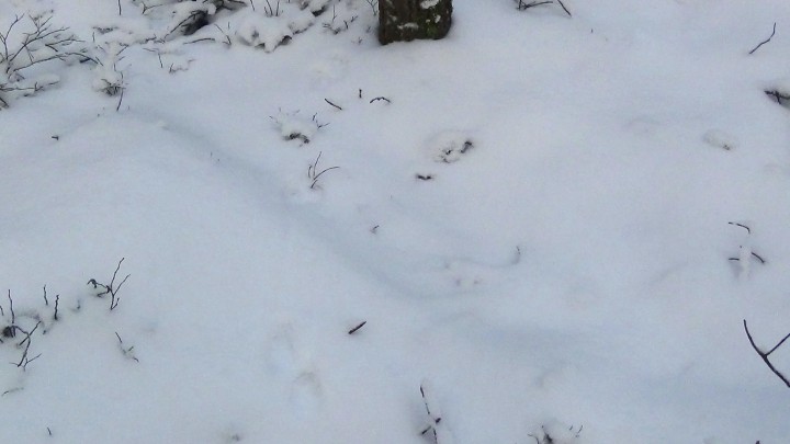 1в.jpg