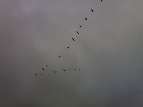 290420081976.jpg