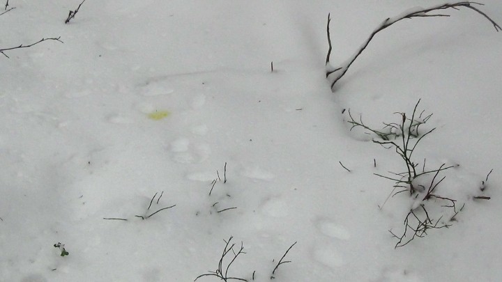 15б.jpg