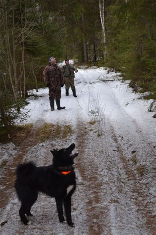 DSC_1657.JPG