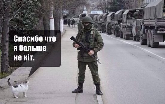 AZBwzlUwpxY.jpg