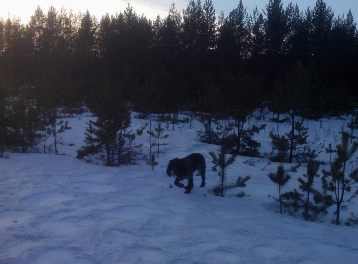 IMG01168.jpg