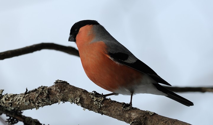 DSC_74821.jpg
