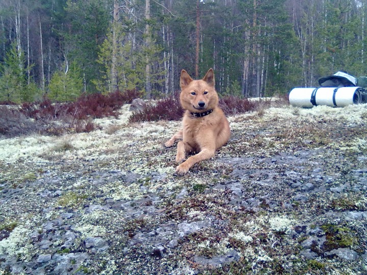07052012266.jpg