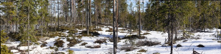 IMG_1297i_stitch.jpg