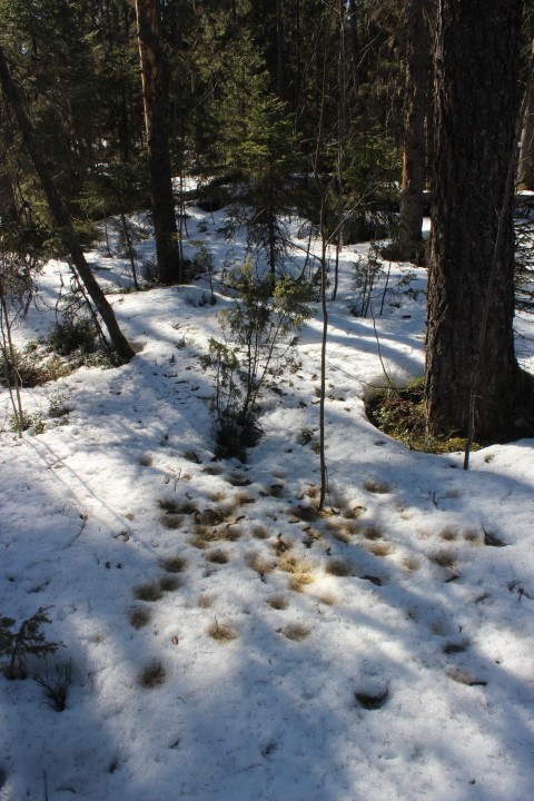 IMG_6381.JPG