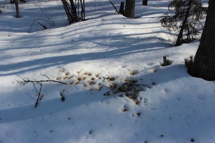 IMG_6384.JPG