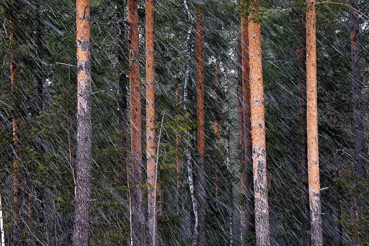 DSC_0090.jpg