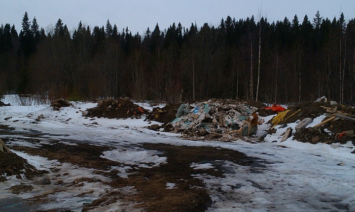 IMAG0885.jpg