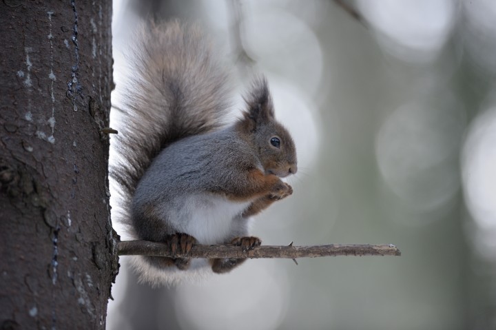 DSC_2162.jpg