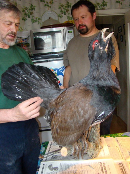 30.09.2009 077.jpg