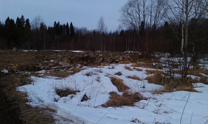 IMAG0932.jpg