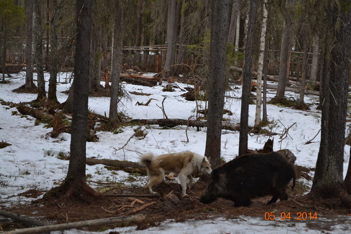 DSC_0232.JPG