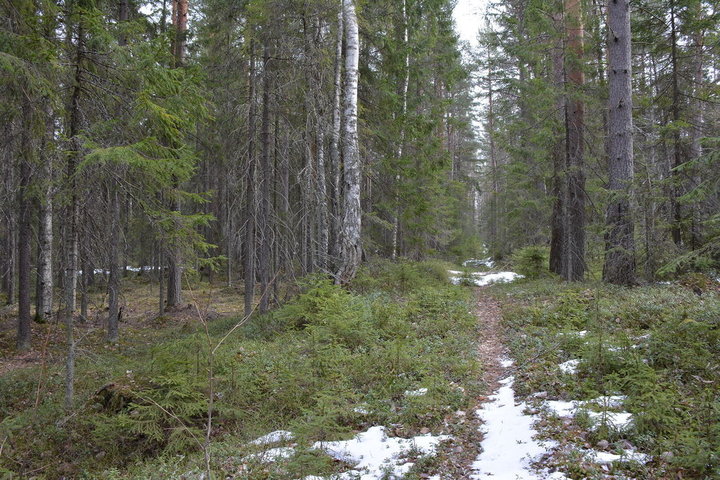 DSC_0109.JPG