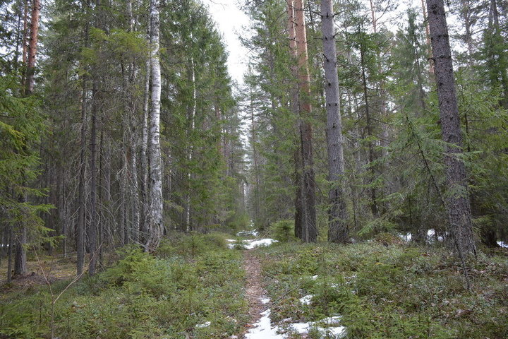 DSC_0110.JPG