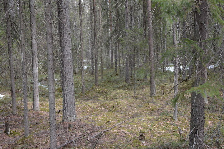DSC_0112.JPG