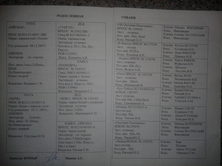 20140410_195634.jpg