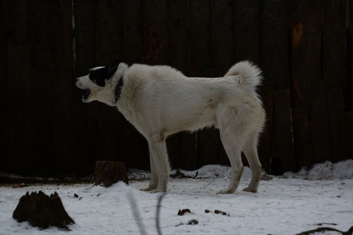 DSC_0223.JPG