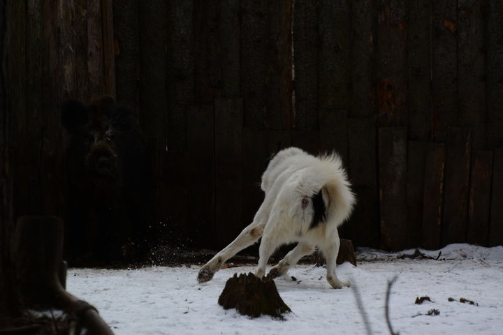 DSC_0216.JPG