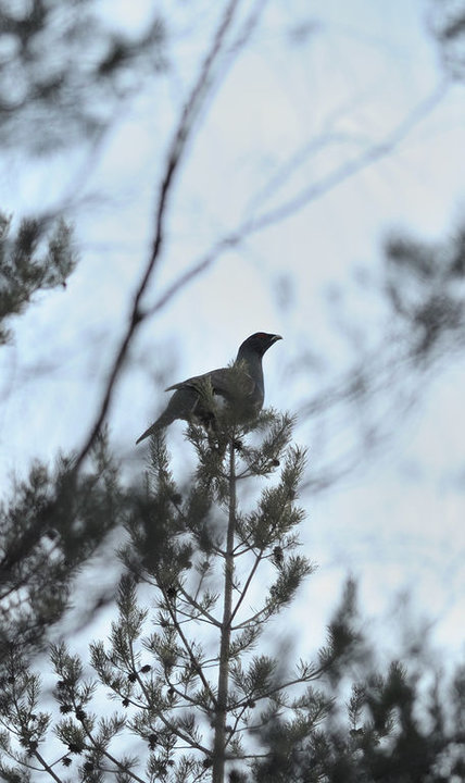 DSC_3501.jpg