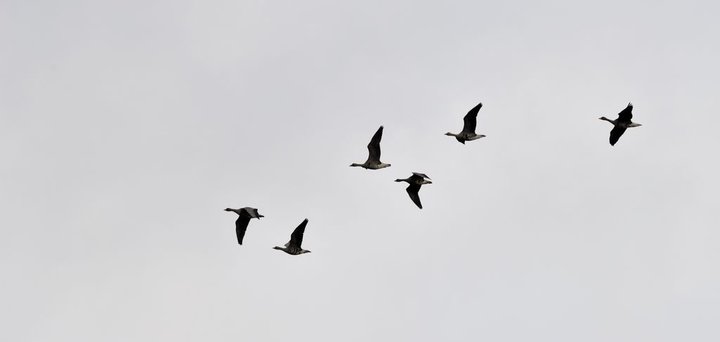 DSC_4975.jpg