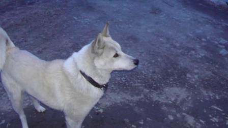 S1130003.JPG