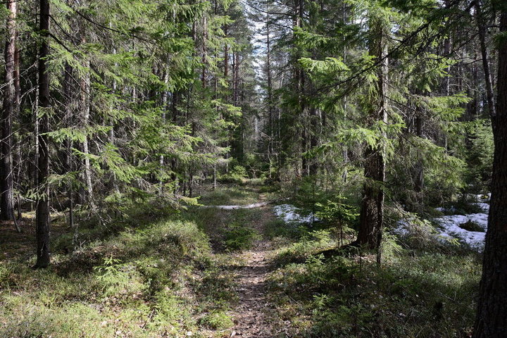 DSC_0375.JPG