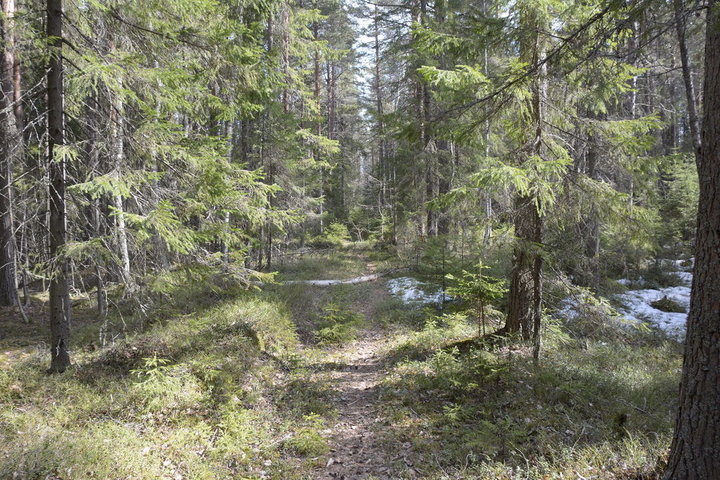 DSC_0377.JPG