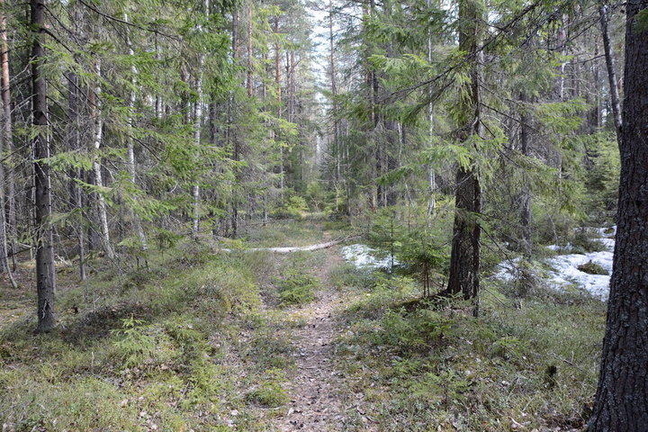 DSC_0378.JPG