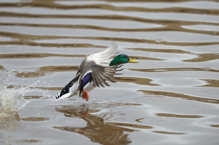 DSC_5434.jpg