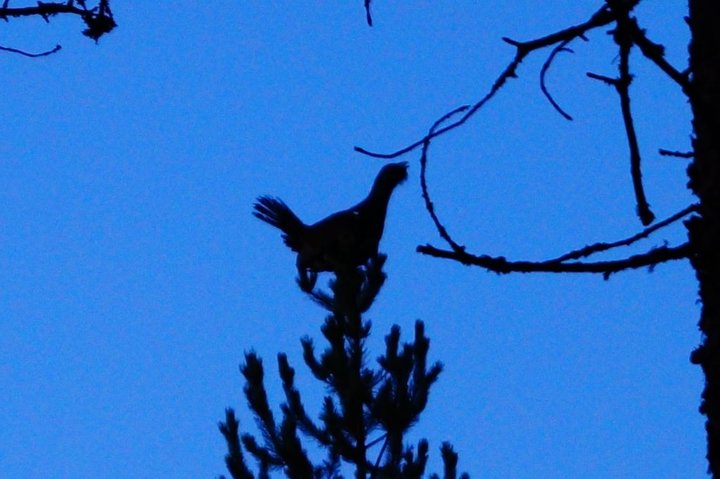 DSC01166.JPG